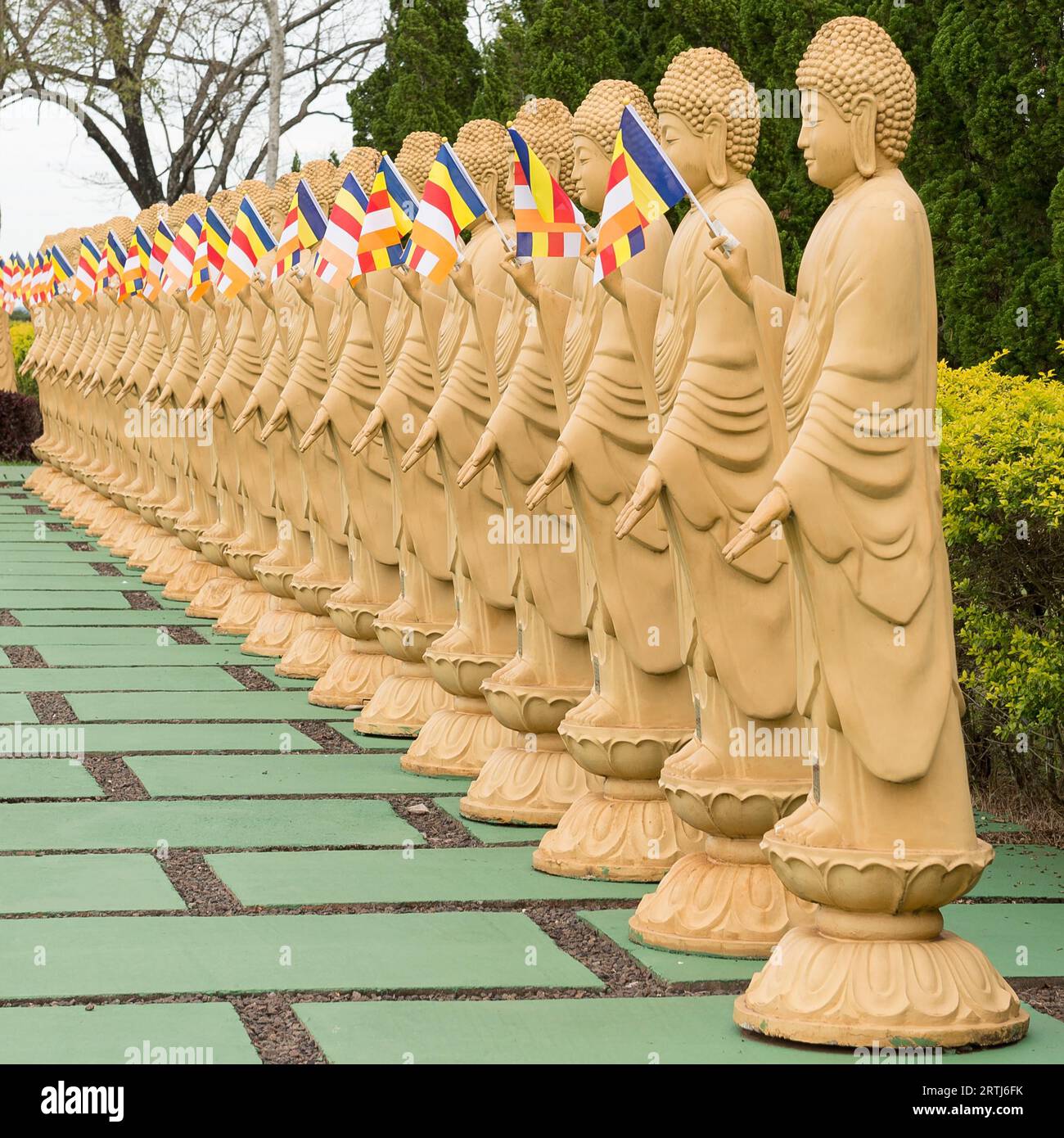 Viele Buddha-Statuen aus der Perspektive des buddhistischen Tempels in Foz do iguacu, Brasilien Stockfoto