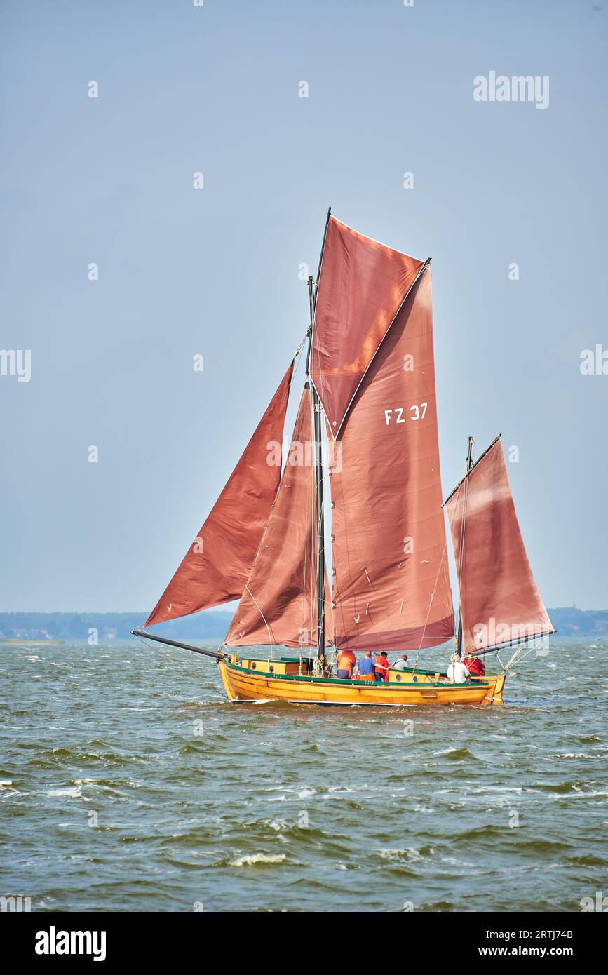 Jährlich traditionelle Zeesboat Regatta in Bodstedt bei Fischland Darss Zingst am 03.09.2016 Stockfoto