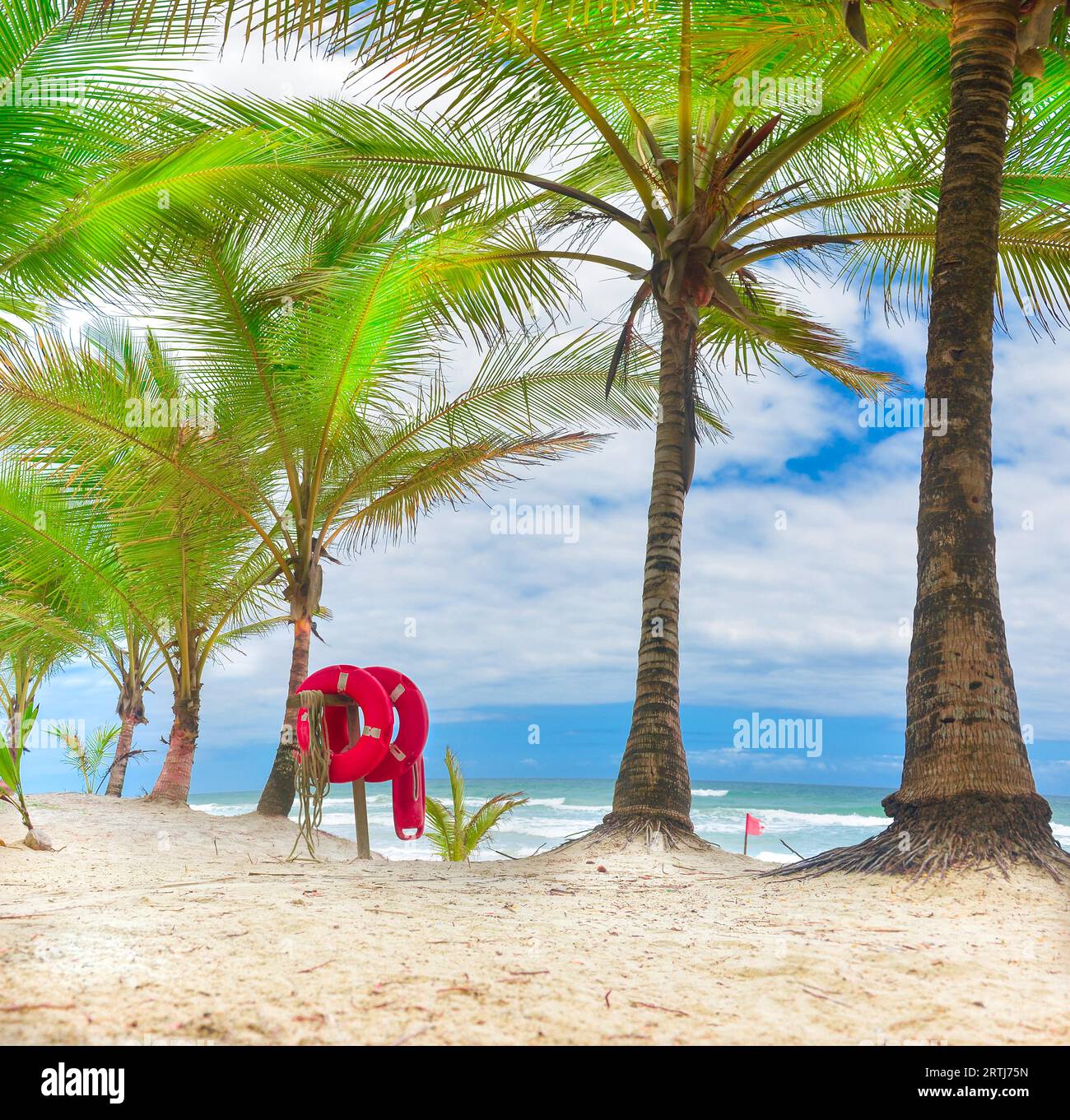 Rote lebendige Boje am Strand mit hellem Sand und blauem Himmel im Hintergrund Stockfoto