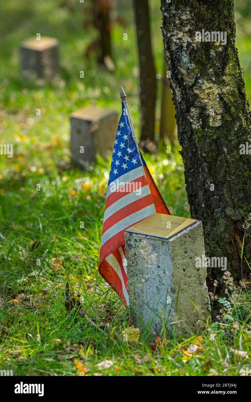 Amerikanische Flagge beim Gedenkstein für gefallenen Soldaten in Bois de la Paix, Gedenkstätte für die Schlacht an der Bulge in Bizory, Bastogne, Belgien Stockfoto