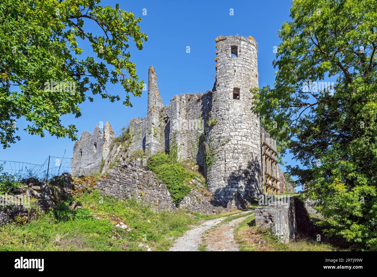 Château de Montaigle im Sommer, 14. Jahrhundert Ruine mittelalterliche Burg in Falaën, Onhaye, Provinz Namur, Wallonien, Belgische Ardennen, Belgien Stockfoto
