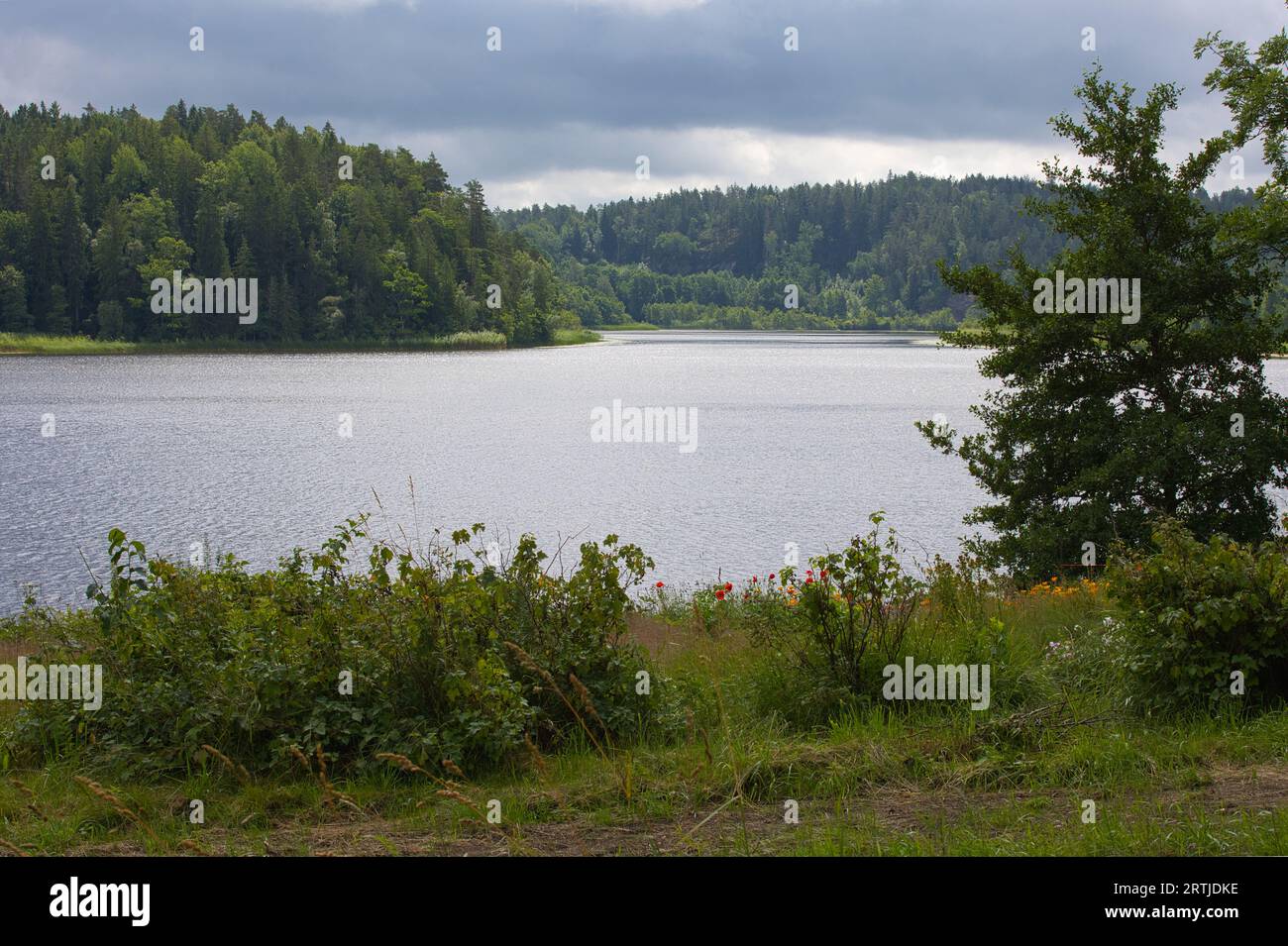Landschaft bei Henån auf der Insel Orust in Schweden. Stockfoto