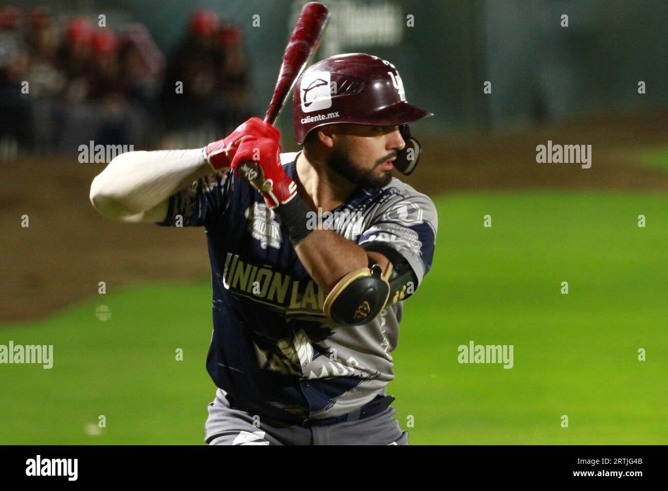 12. September 2023, Puebla, Mexiko: Dean Nevarez #25 von Algodoneros of Laguna trifft während des 4. Spiels der Serie des Königs der mexikanischen Baseball League (MBL) zwischen den Algodoneros de Laguna und Pericos of Puebla. Am 12. September 2023. In Puebla, Mexiko. (Foto von Carlos Santiago/Eyepix Group) (Foto von Eyepix/SIPA USA) Credit: SIPA USA/Alamy Live News Stockfoto