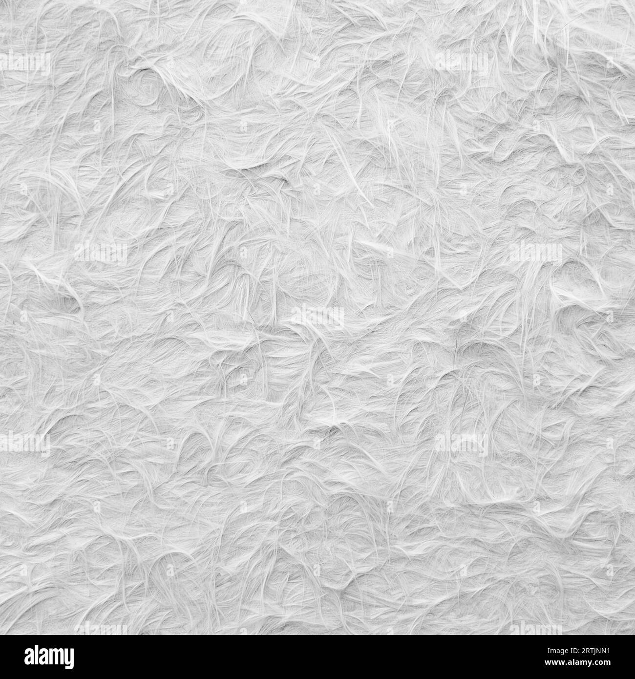 Weißer Federhintergrund. Perfektes abstraktes Strukturmuster. Stockfoto