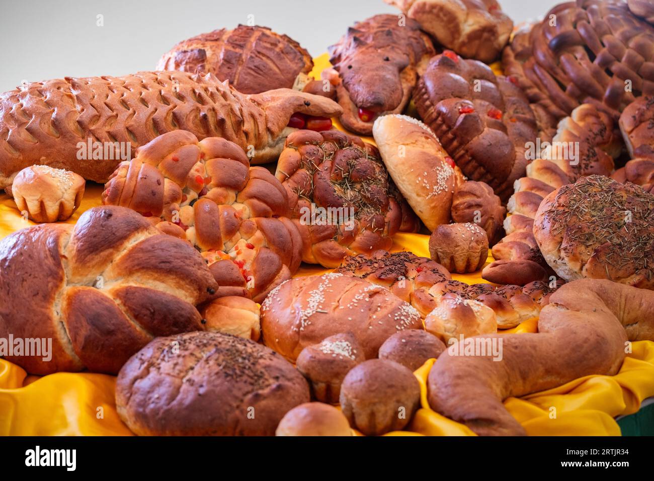 Eine verlockende Auswahl an Brot, geschmückt mit gesunden und köstlichen Toppings, die ein Festmahl an Aromen und Texturen versprechen. Stockfoto