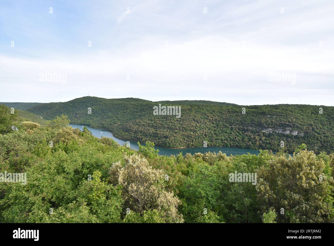 Lim-Kanal, Istrien Stockfoto