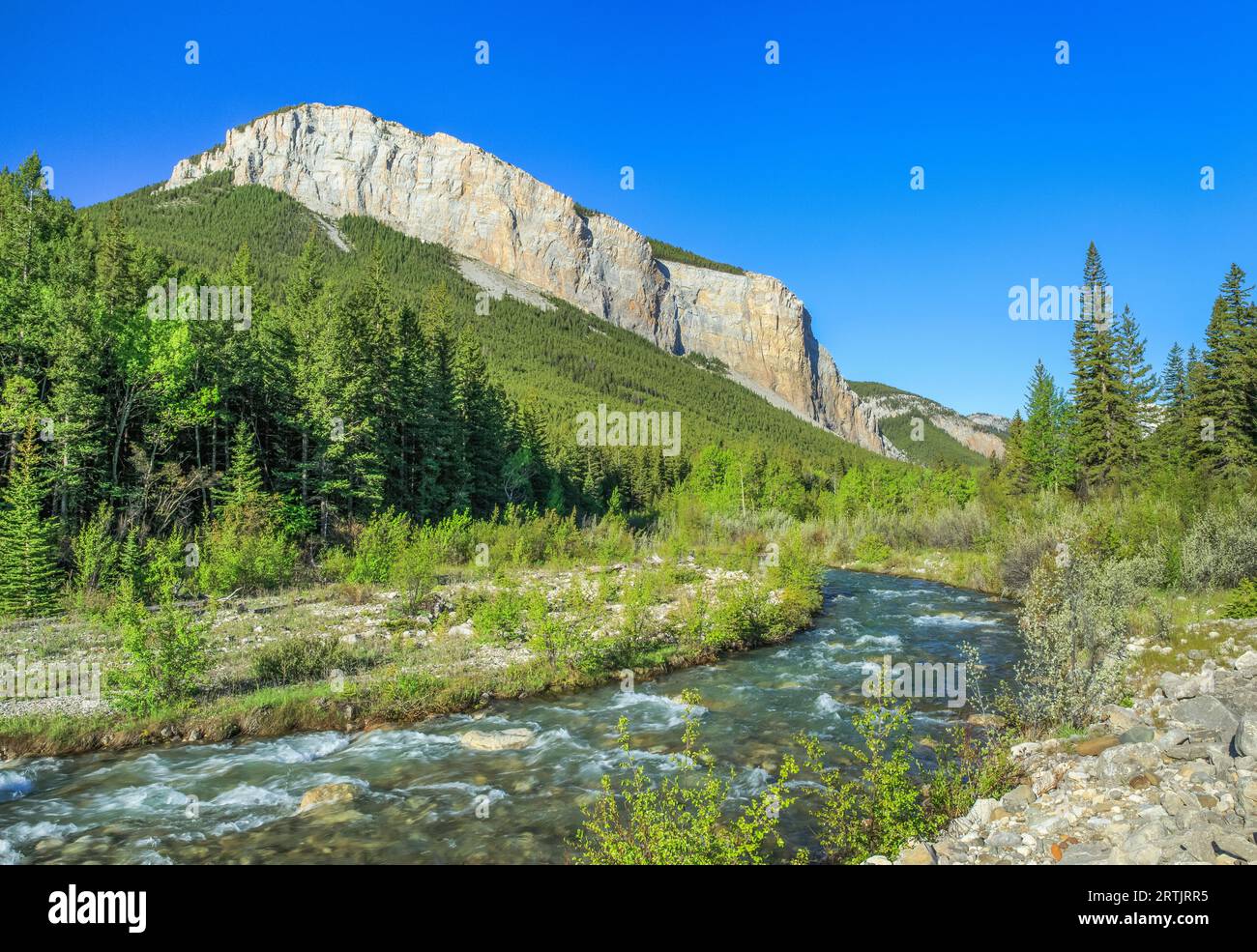 South Fork Teton River unterhalb ein Riff entlang der felsigen Berg in der Nähe von Choteau, montana Stockfoto