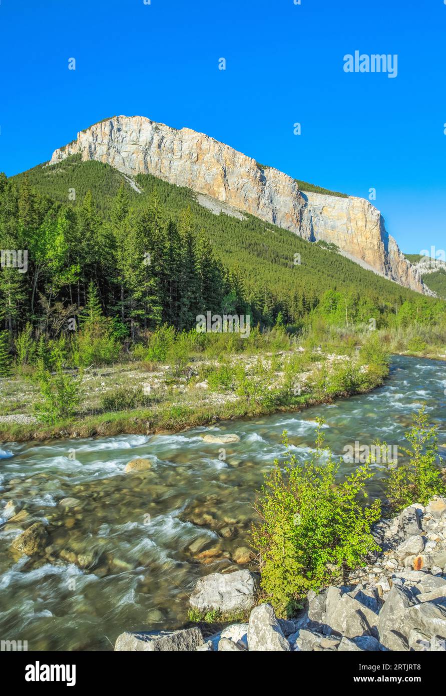 South Fork Teton River unterhalb ein Riff entlang der felsigen Berg in der Nähe von Choteau, montana Stockfoto