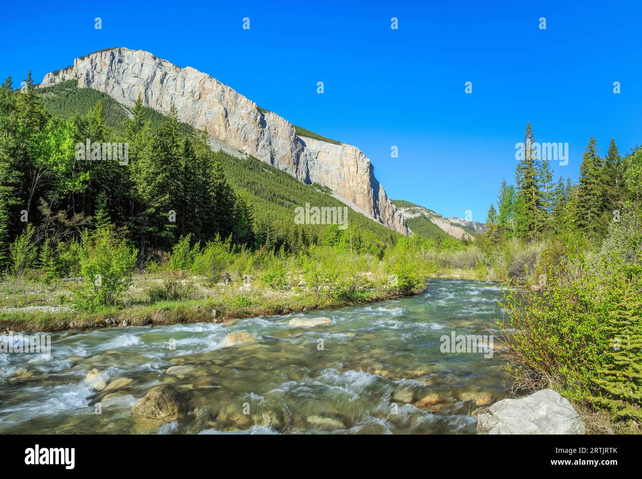 South Fork Teton River unterhalb ein Riff entlang der felsigen Berg in der Nähe von Choteau, montana Stockfoto