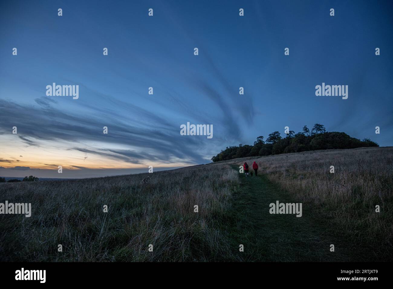 Wittenham Clumps, in der Nähe von Didcot, Oxfordshire Stockfoto