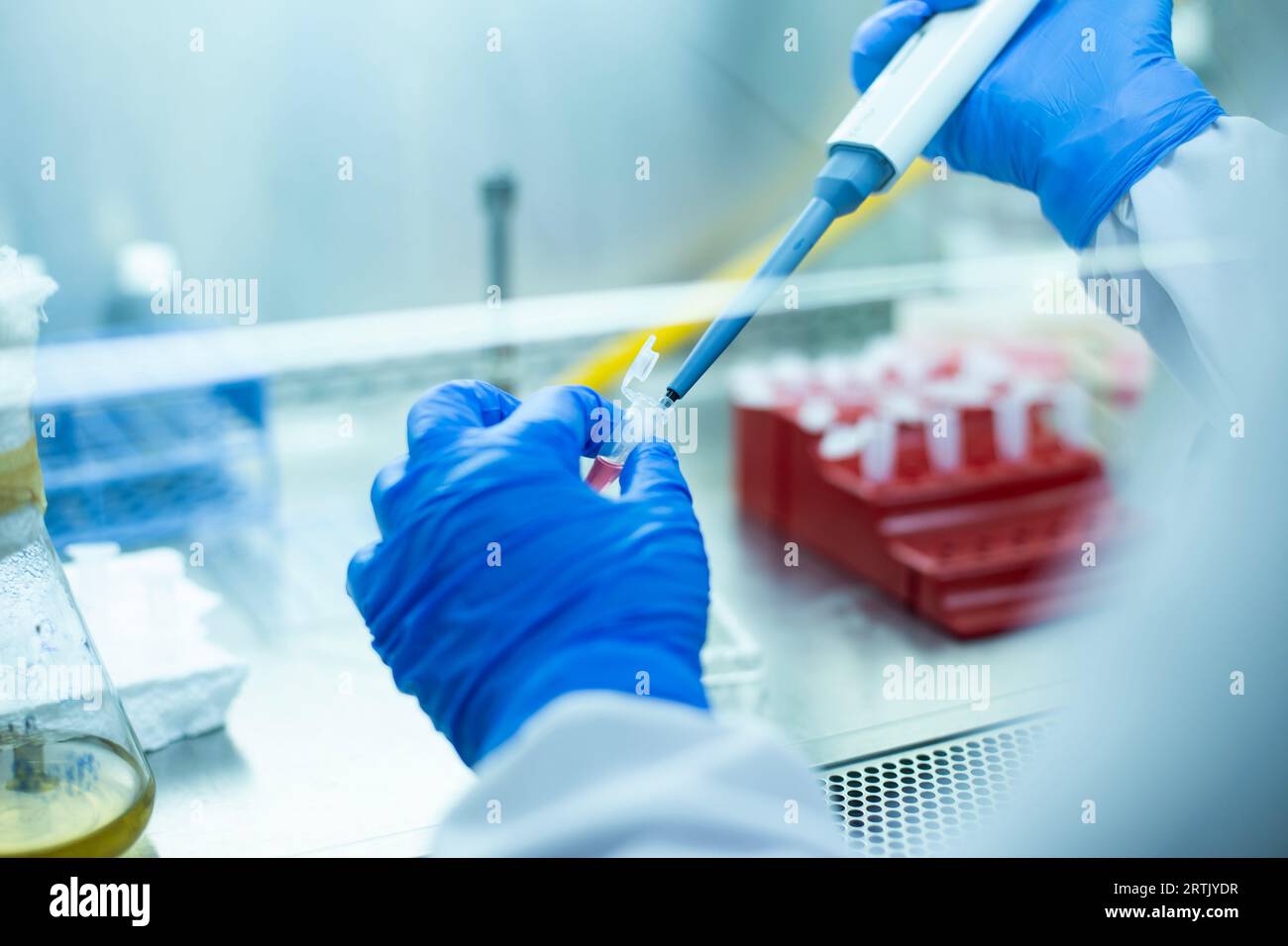 Zellkultur- und Mikrobiologie-Labor, Krebsbiologie Stockfoto