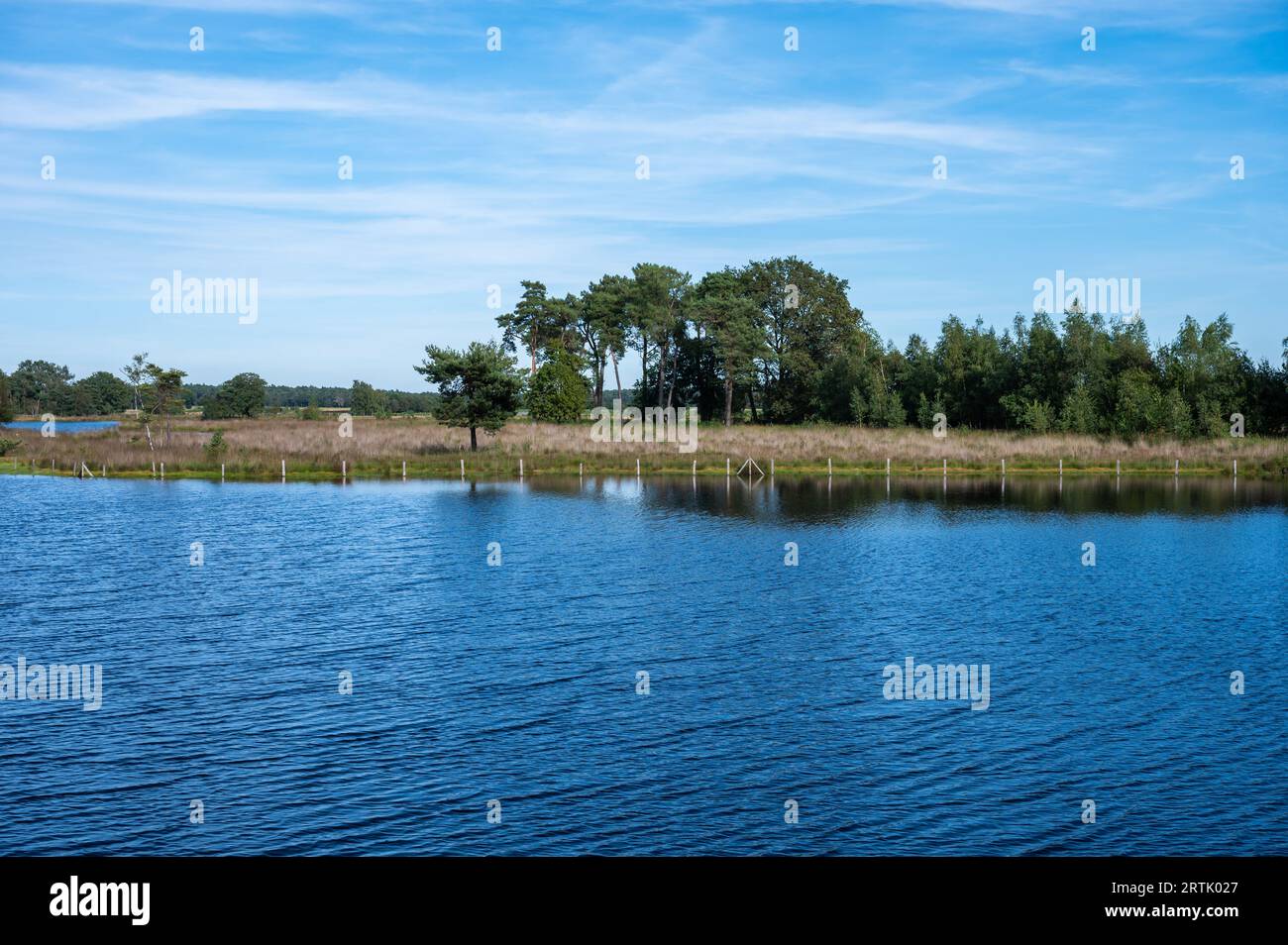 Blick auf den Wasserteich und das Naturschutzgebiet fenn rund um Turnhout, Provinz Antwerpen, Belgien Stockfoto