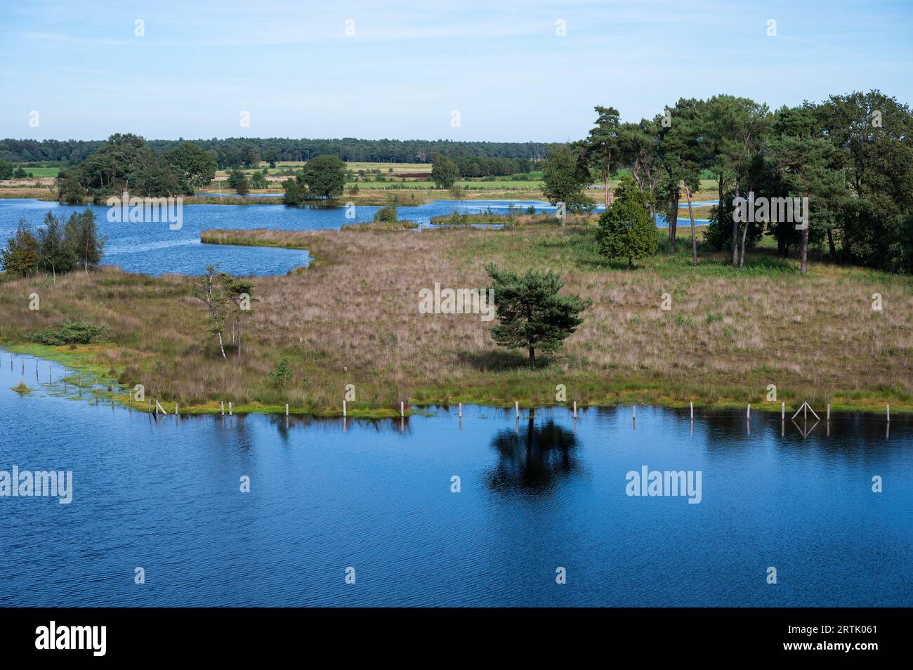 Blick auf den Wasserteich und das Naturschutzgebiet fenn rund um Turnhout, Provinz Antwerpen, Belgien Stockfoto