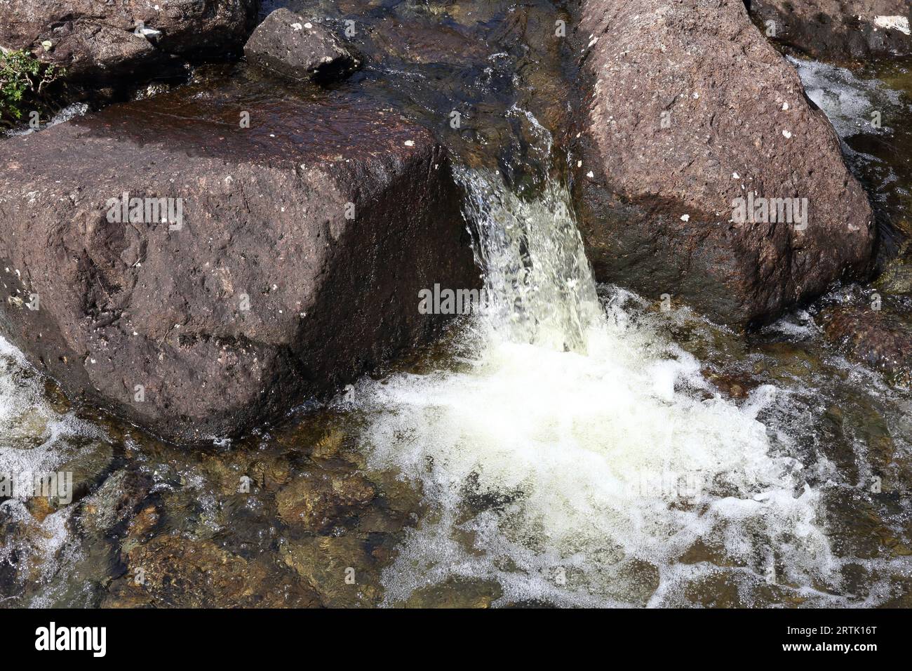 Rapids auf einem klaren Gebirgsbach Schaum weiß mit Sauerstoff, während er flussabwärts über Felsen fließt. Stockfoto