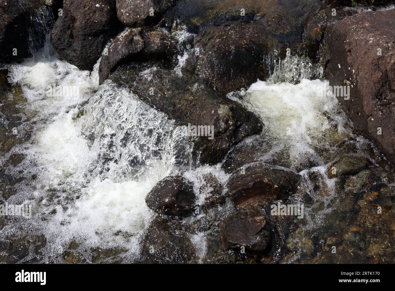 Rapids auf einem klaren Gebirgsbach Schaum weiß mit Sauerstoff, während er flussabwärts über Felsen fließt. Stockfoto