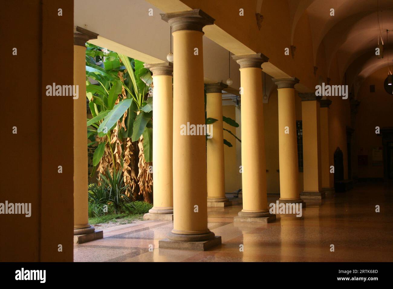 Mittelalterliches italienisches Gebäude mit Säulen und Palmen Stockfoto