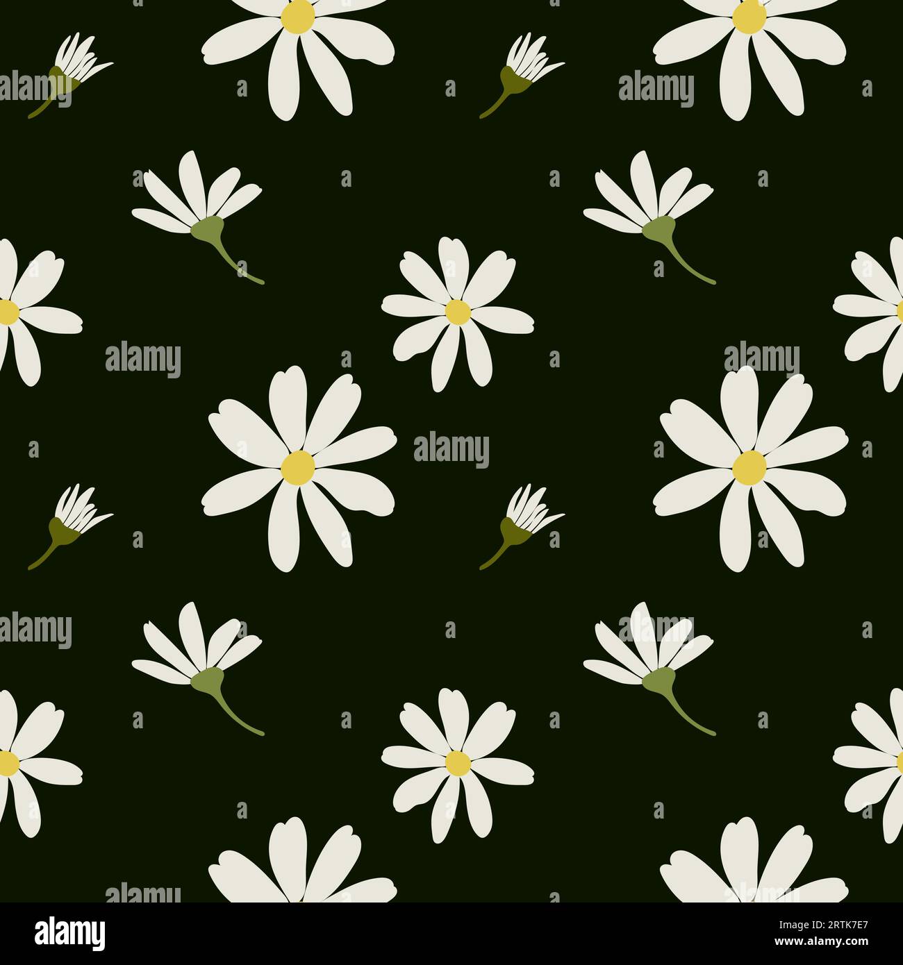 Weiße Kamillenblüten mit Gänseblümchen. Nahtloses Muster des Kamillenvektors. Niedliche Natursammlung mit rundem Blumenkopf. Dekorationselement. Flache Ausführung für Stock Vektor