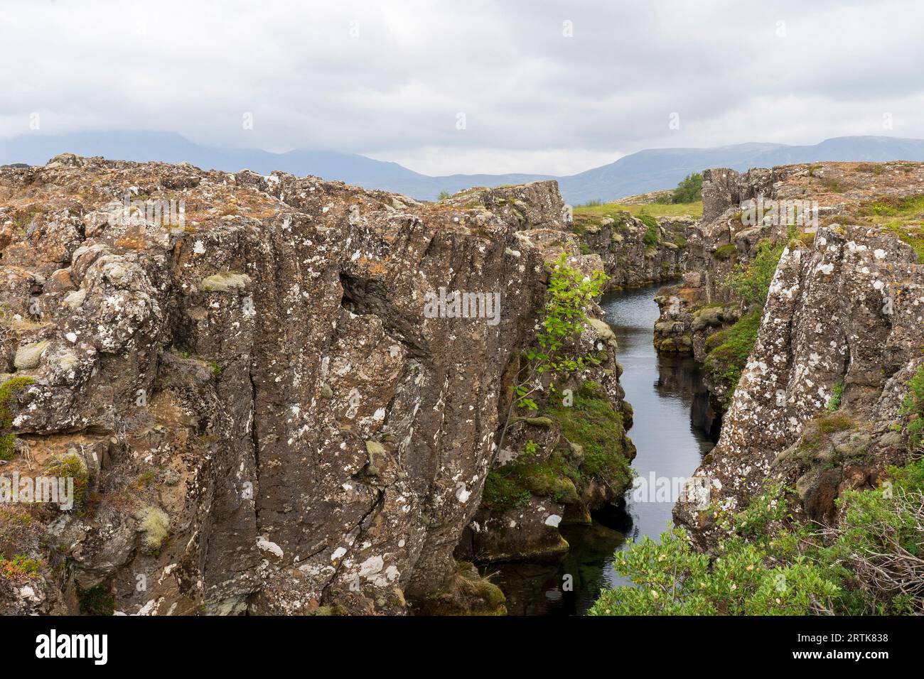 Thingvellir Nationalpark Island Kontinentalscheide - tektonische Drift zwischen nordamerikanischer Platte und eurasischer Platte. Þingvellir - Island. Stockfoto