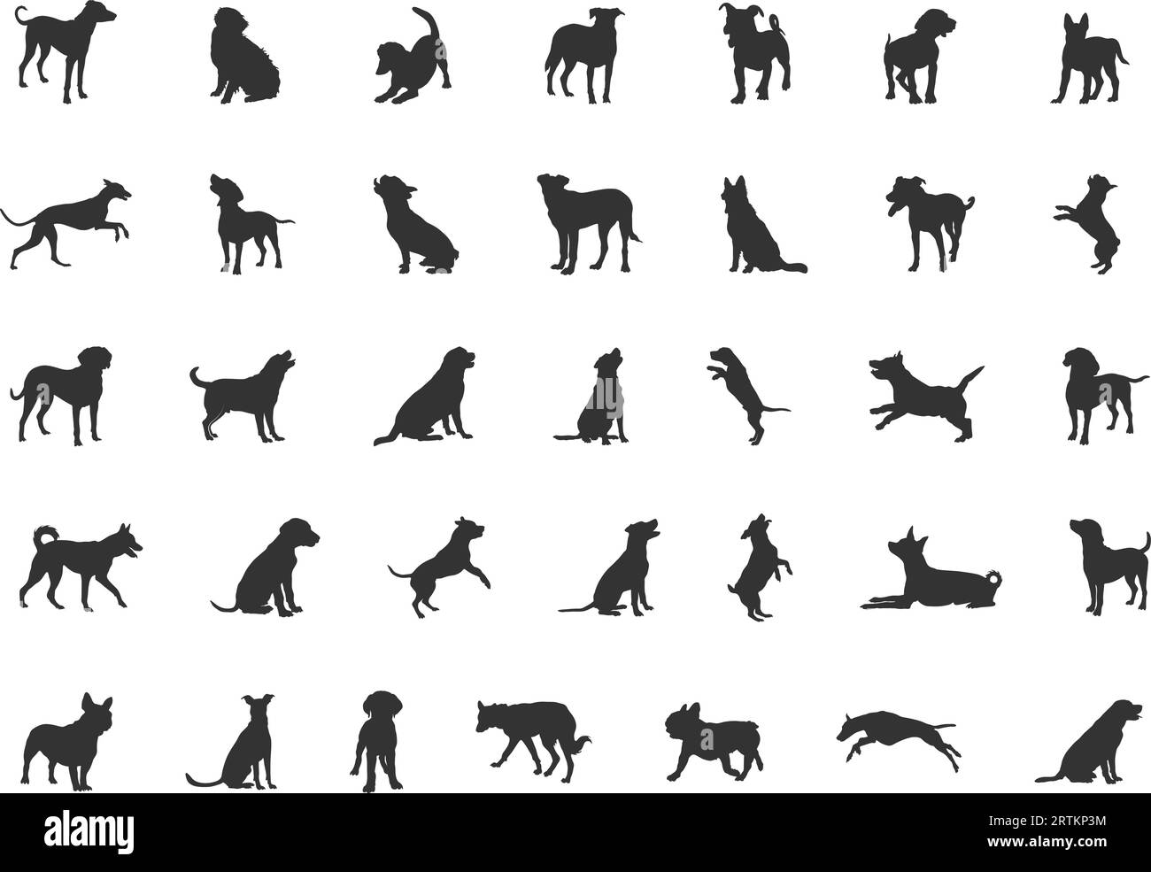 Hund Silhouette, Hund Silhouette Sammlung, Hund Rassen Silhouetten, Hund Tier SVG, Hunde Vektor-Illustration, Symbol „Hunde“ Stock Vektor