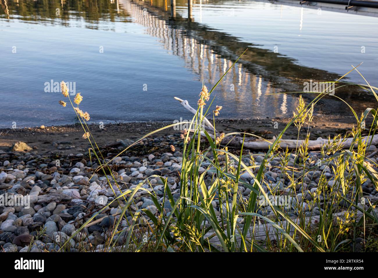 bay marina Fotos und Bildmaterial in hoher Auflösung Alamy