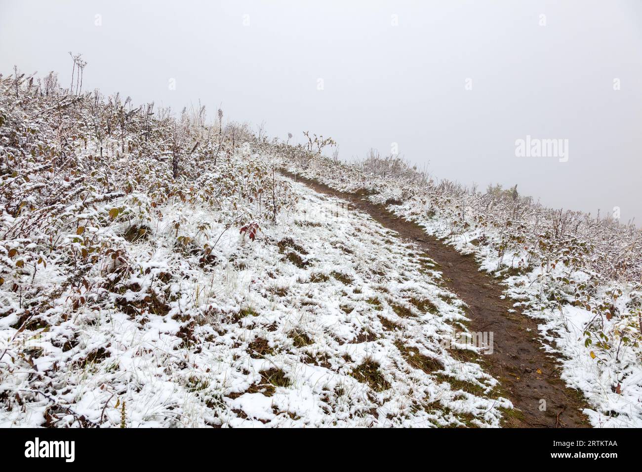 Winterlandschaft in der Nähe des Max Patch auf dem Appalachian Trail Stockfoto