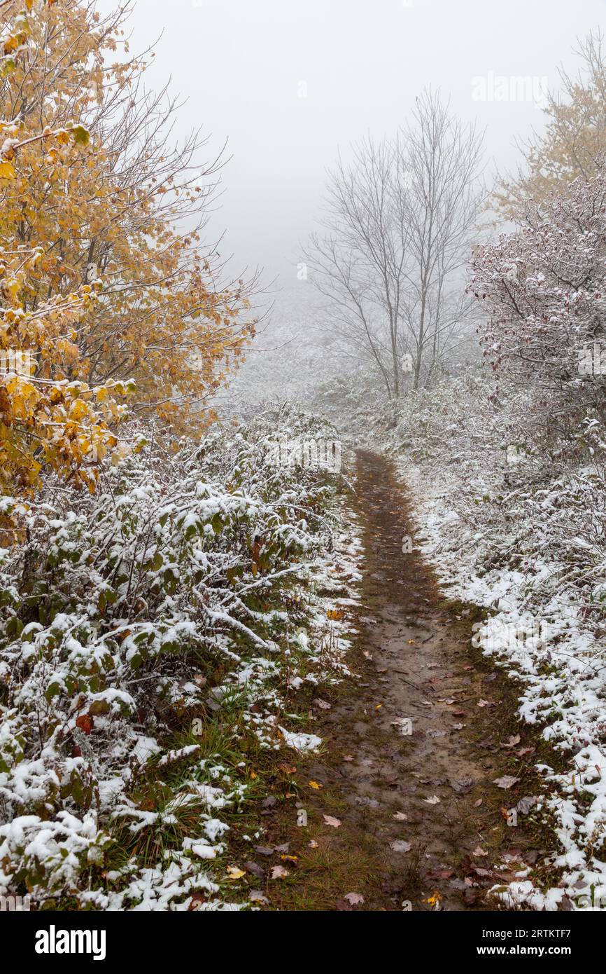 Winterlandschaft in der Nähe des Max Patch auf dem Appalachian Trail Stockfoto