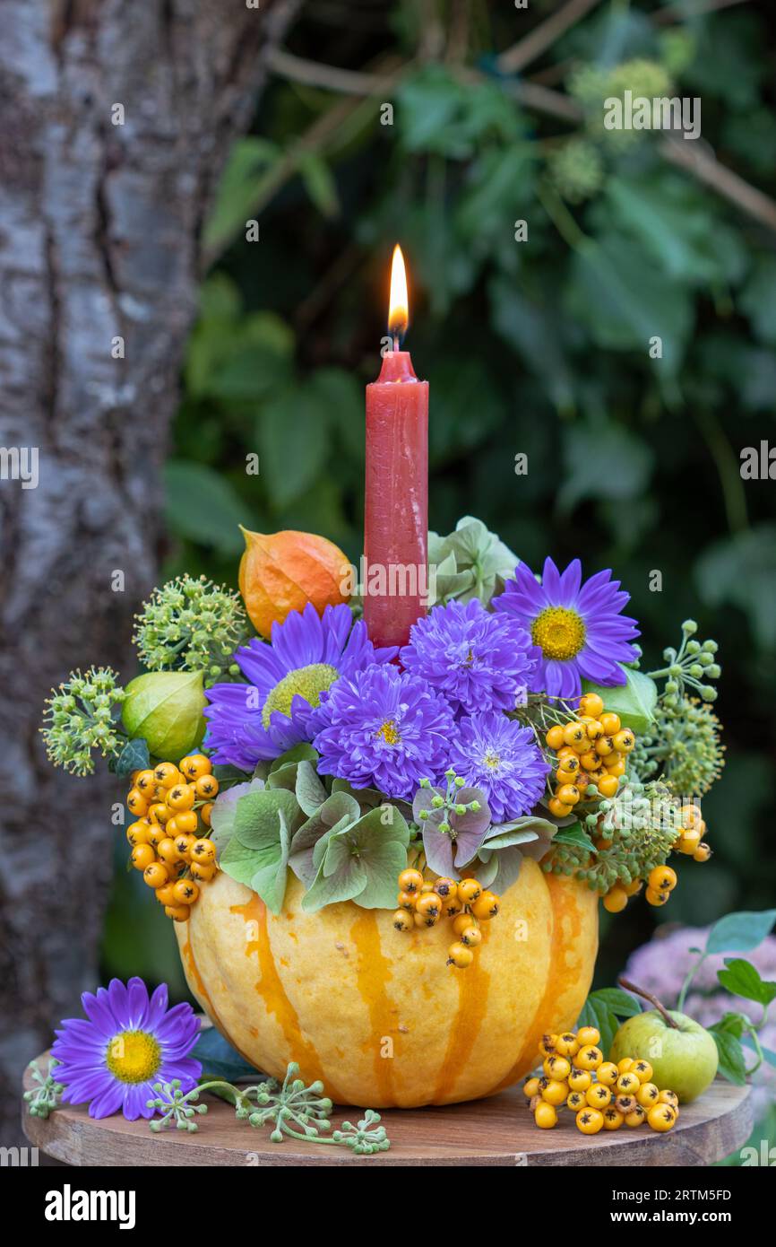 Herbstarrangement mit Kerze, Kürbis, violetten Asterblumen, feuerdornbeeren, Efeublumen und Physalis Stockfoto