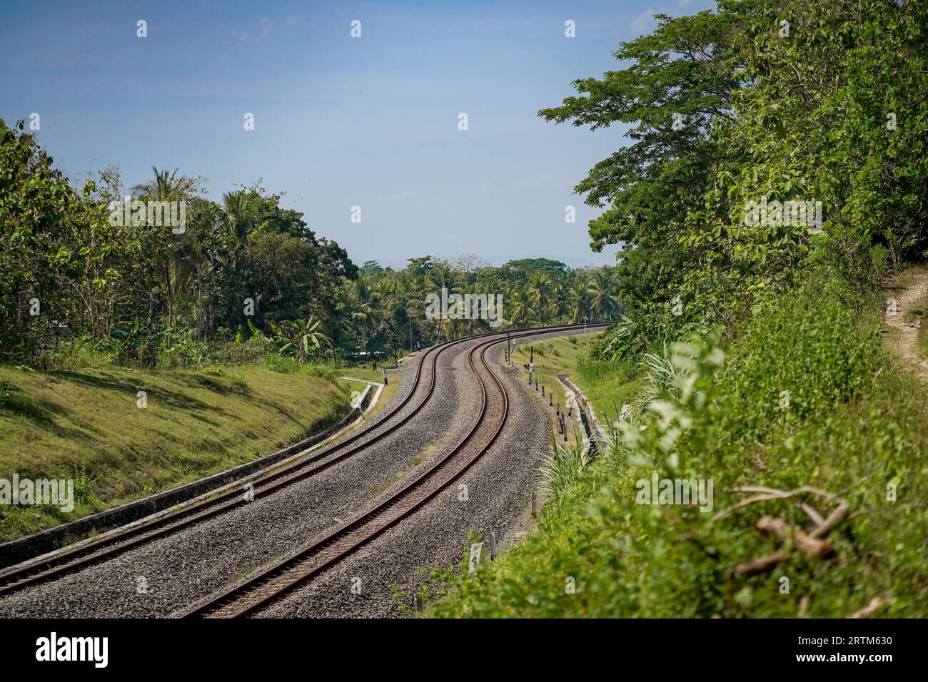 2-Wege-Zuggleise mit Blick auf den dichten Wald von links und rechts während des Tages Stockfoto
