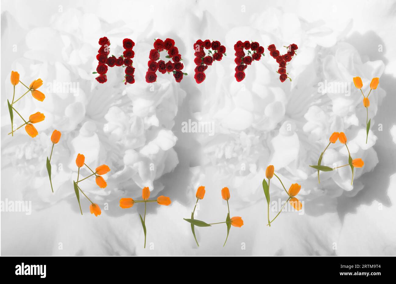 Alles Gute zum Geburtstag in farbenfroher, auffälliger Form von roten Rosen, gelben Tulpen, Kamelien, was bedeutet: Lasst feiern. Stockfoto