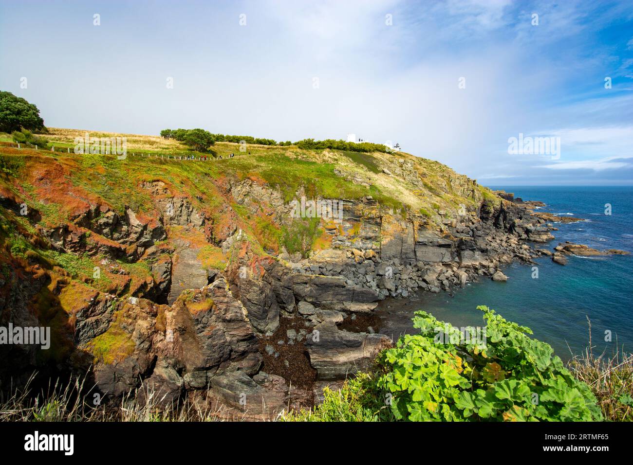 Lizard, Cornwall, UK - Blick auf Lizard Point in Cornwall - der südlichste Punkt des englischen Festlands. Raum in Himmel kopieren. Stockfoto