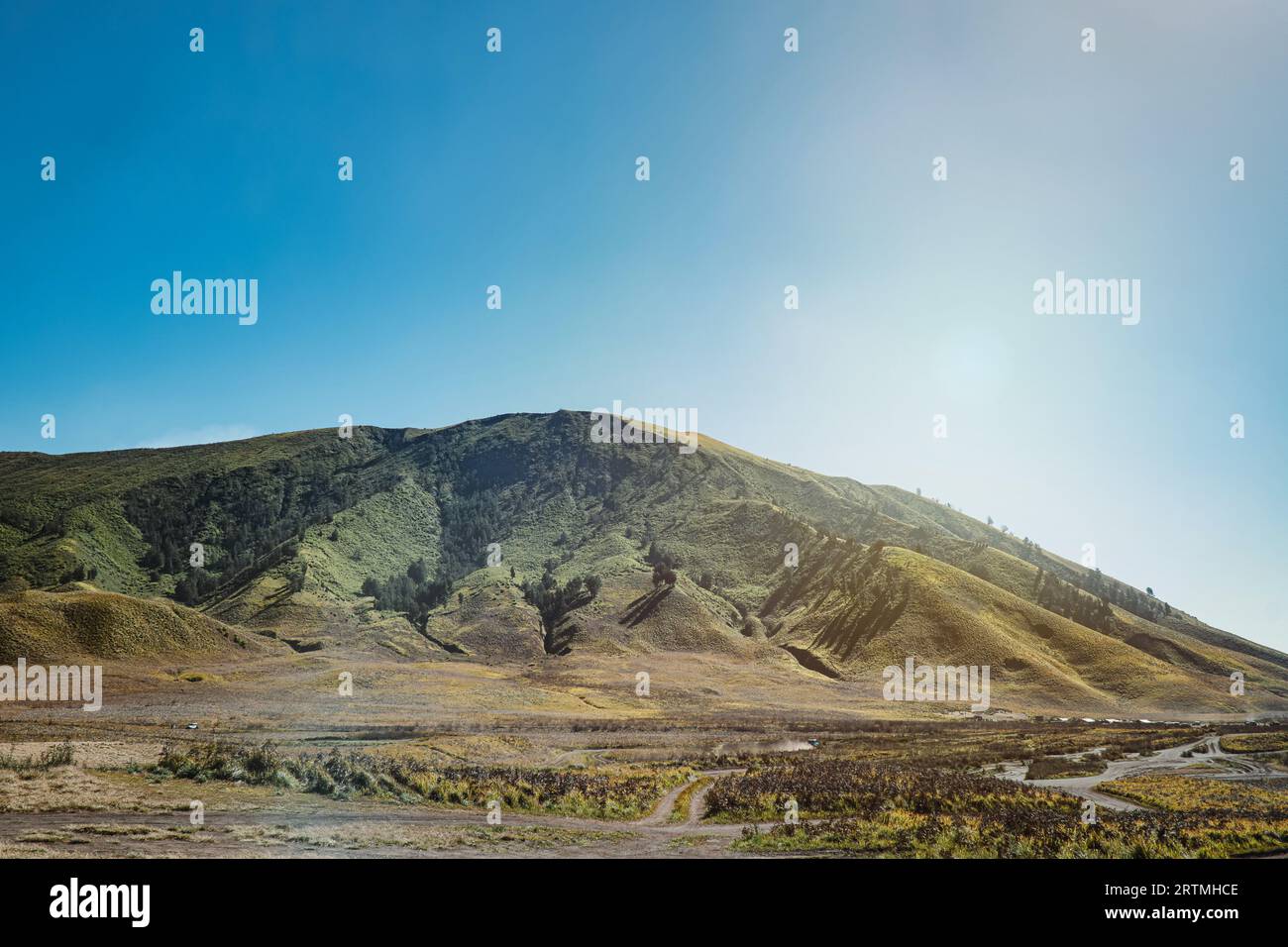 Bukit Teletubbies oder Teletubbies Hill hinter dem Mount Bromo mit klarem blauem Himmel Stockfoto