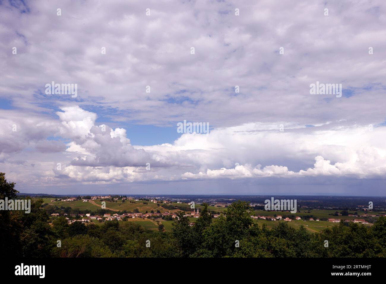 Burgunderrote Landschaft mit bewölktem Himmel. Stockfoto