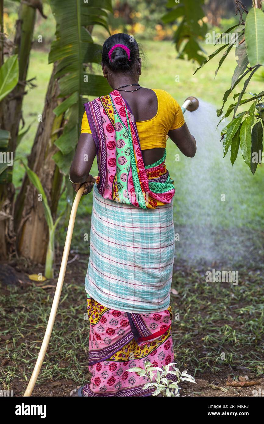 Gärtner, der einen der Gärten im Goverdan Ecovillage, Maharashtra, Indien, bewässert Stockfoto