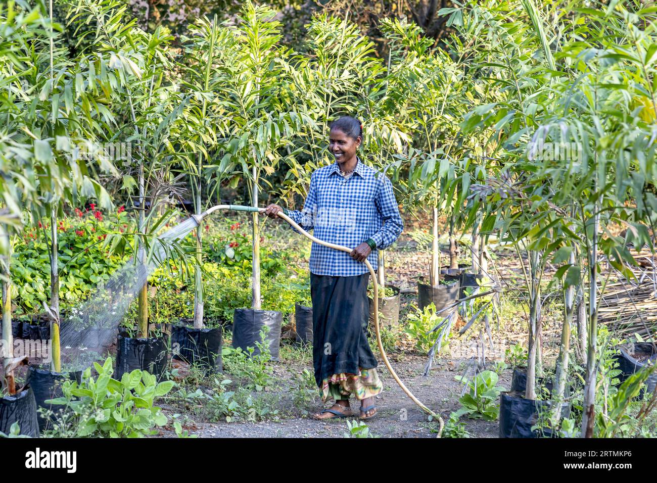 Gärtner, der einen der Gärten im Goverdan Ecovillage, Maharashtra, Indien, bewässert Stockfoto