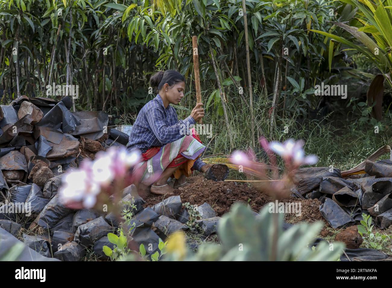 Gärtner, der in einem der Gärten des Goverdan Ecovillage, Maharashtra, Indien, arbeitet Stockfoto