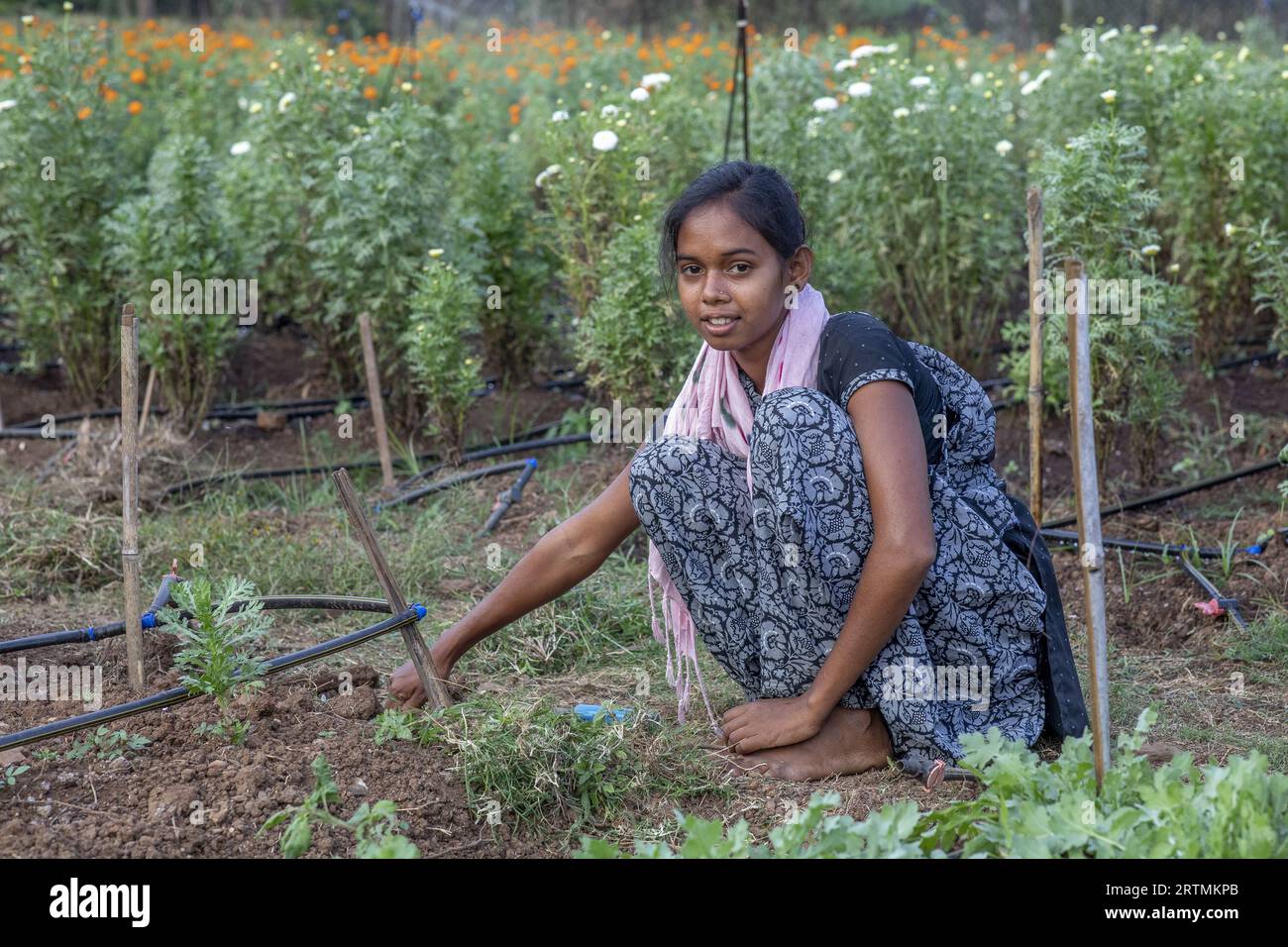 Junger Gärtner bei der Arbeit in einem der Gärten von Goverdan Ecovillage, Maharashtra, Indien Stockfoto