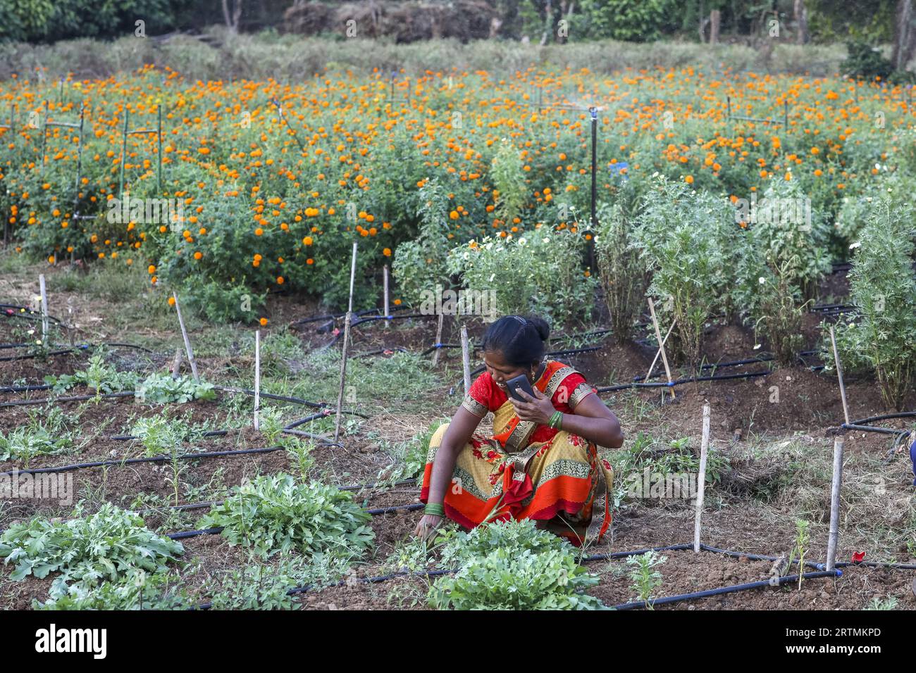 Gärtner in einem der Gärten des Goverdan Ecovillage, Maharashtra, Indien Stockfoto