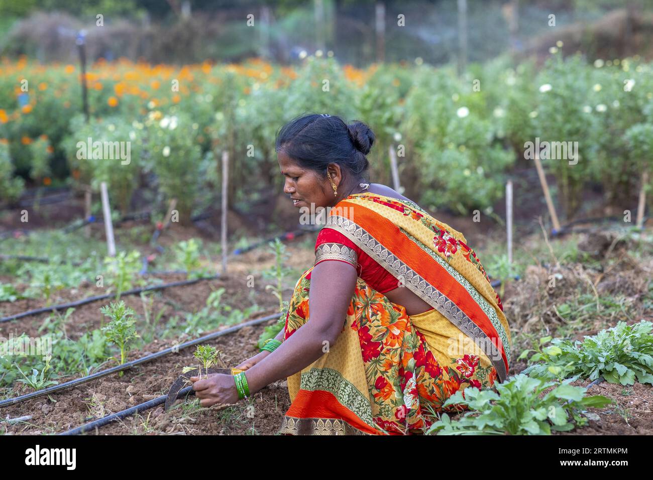 Gärtner bei der Arbeit in einem der Gärten des Goverdan Ecovillage, Maharashtra, Indien Stockfoto