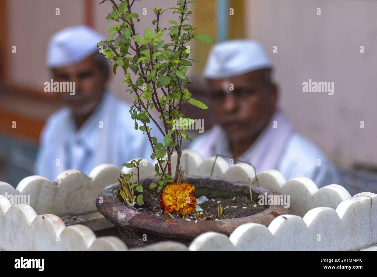 Männer sitzen in einem Hindu-Tempel in Babra, Maharashtra, Indien. Heiliger Baum Stockfoto