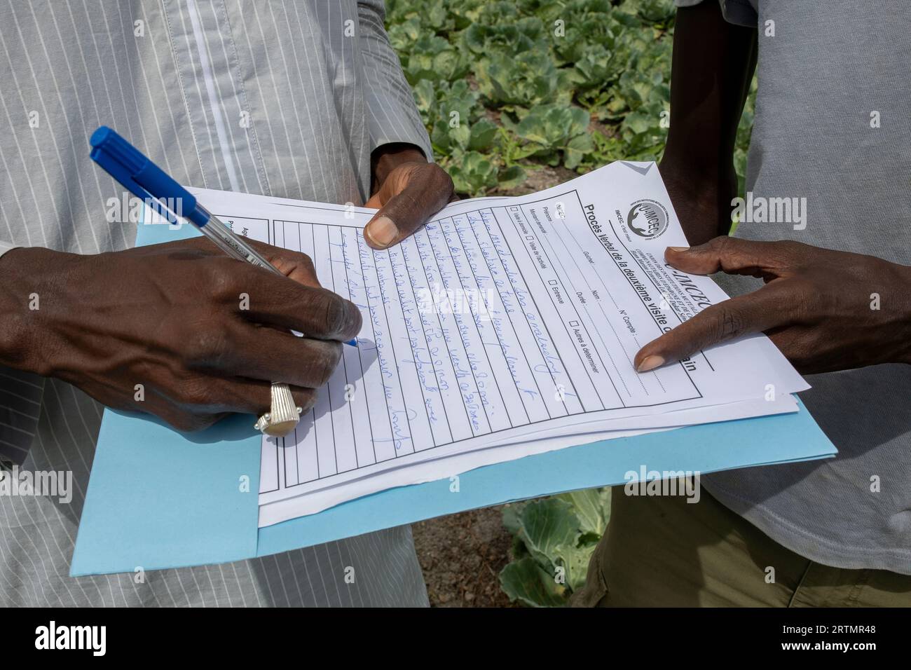 Mitarbeiter und Landwirt von Mikrofinanzinstitutionen in Pout, Senegal Stockfoto