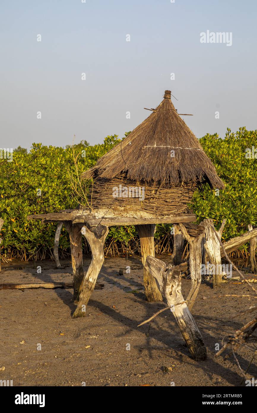 Antiker Kornspeicher mit einem Dach aus trockenem Gras auf einer Insel inmitten von Mangrovenbäumen, Joal-Fadiouth, Senegal Stockfoto