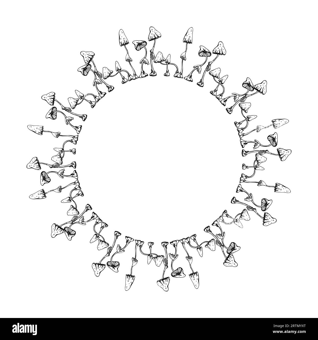 Hand gezeichneter Tintenvektor giftiger Pilz-Katzenpilz isolierter Kranzrahmen. Skizzenillustration Kunst Hexerei, Medizin, Chemie, Alchemie Stock Vektor