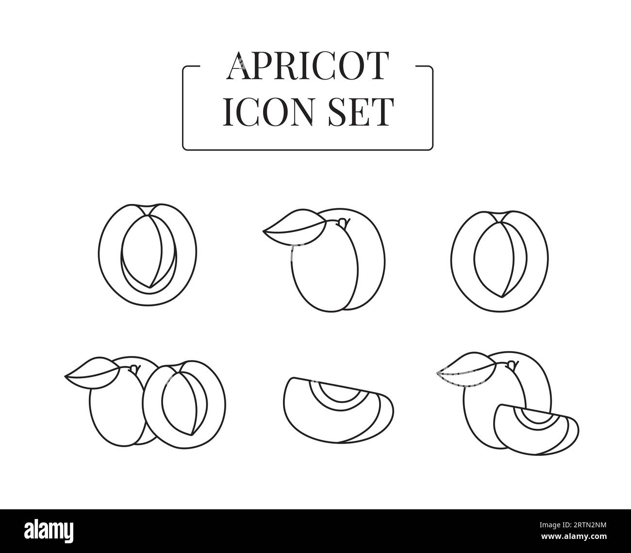 Aprikosenfrucht ganz und halb, in Scheiben geschnitten, Satz von Liniensymbolen im Vektor. Stock Vektor
