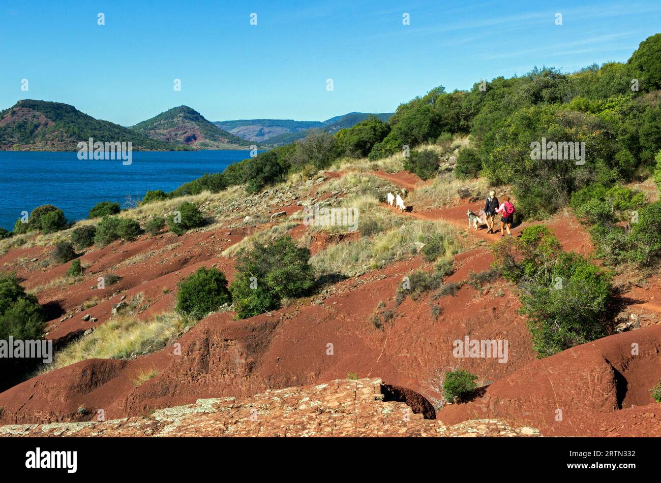 Der Lac du Salagou, Landschaft der Rüschen. In der Nähe des Weilers Vailhes. Clermont l'Herault, Okzitanien, Frankreich. Stockfoto