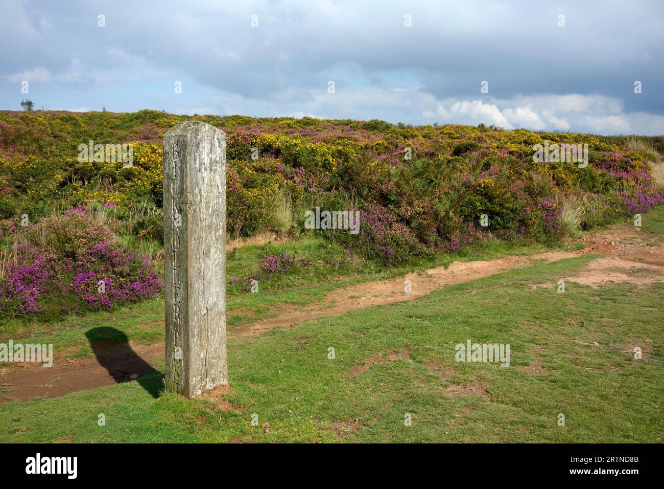 Bicknoller Post, Quantock Hills AONB, Somerset, England, Vereinigtes Königreich im September Stockfoto