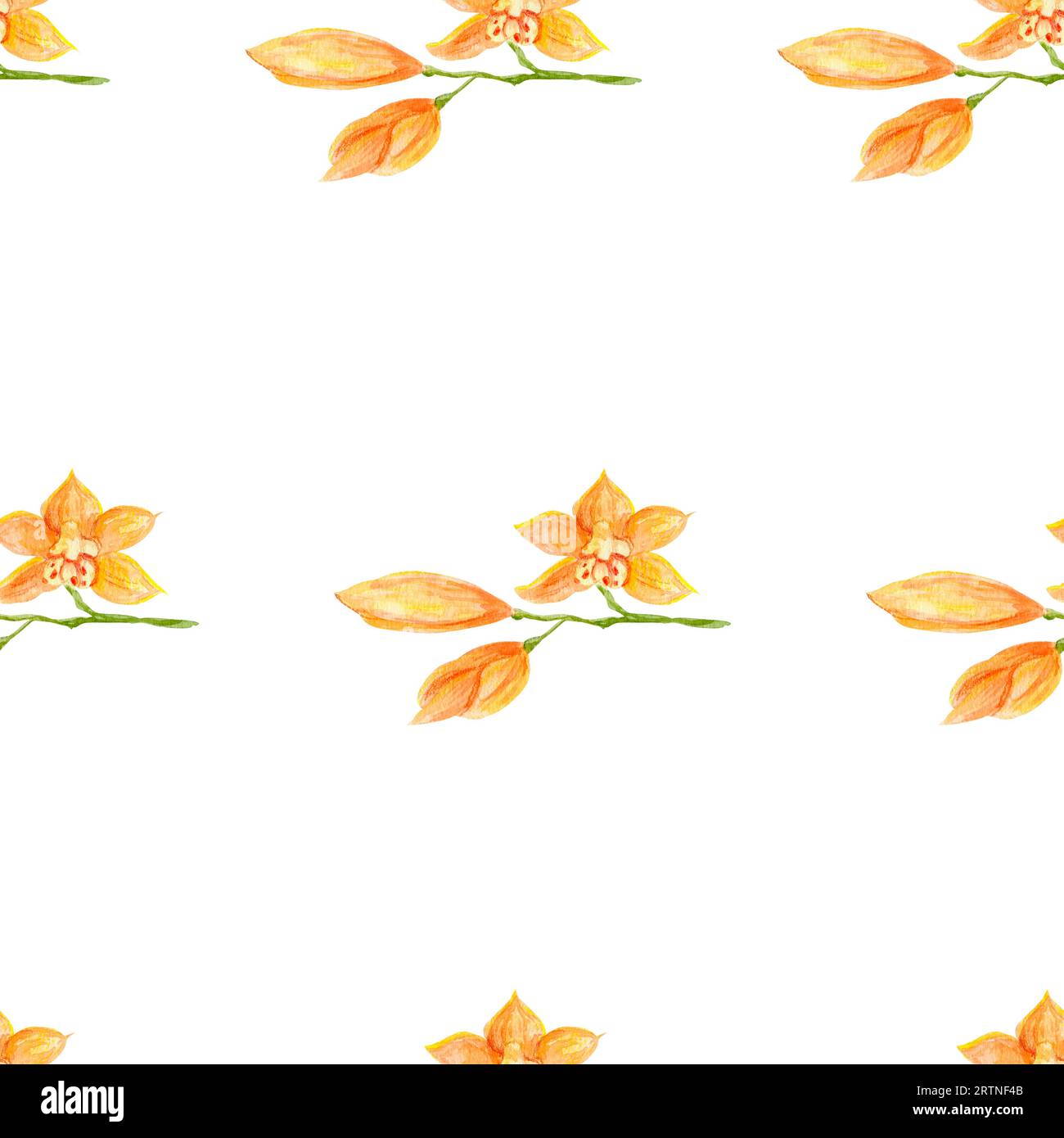 Orchideenmuster in Aquarellfarben. Tropisches Blumenmuster, orange phalaenopsis. Exotische pflanzliche botanische Muster Hand gezeichnet für Textilien, Druck, Packagi Stockfoto