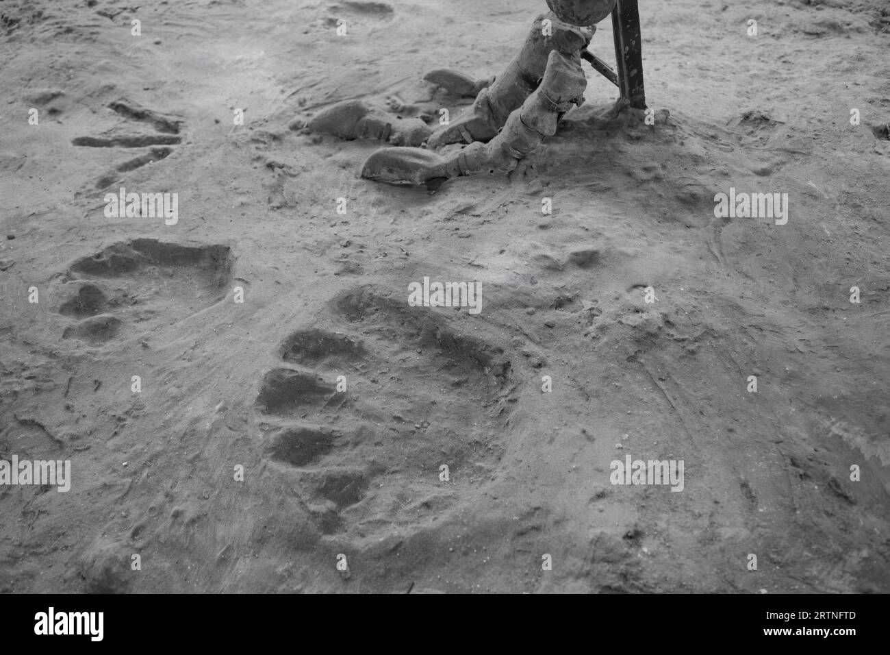 Dinosaur Footprint und dem Fuß auf Hintergrund Stockfoto