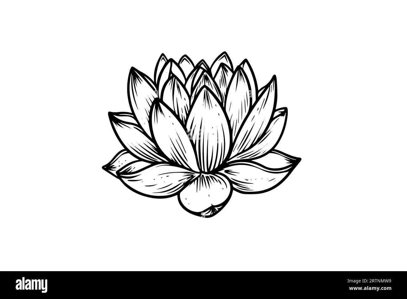 Eine Lotoslilie Wasserblume in einer Vintage Holzschnitt Gravur Stil Vektor Illustration. Stock Vektor