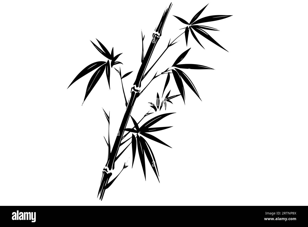 Handgezeichnete Tuschezeichnung von Bambusblättern und -Zweigen. Vektorillustration. Stock Vektor