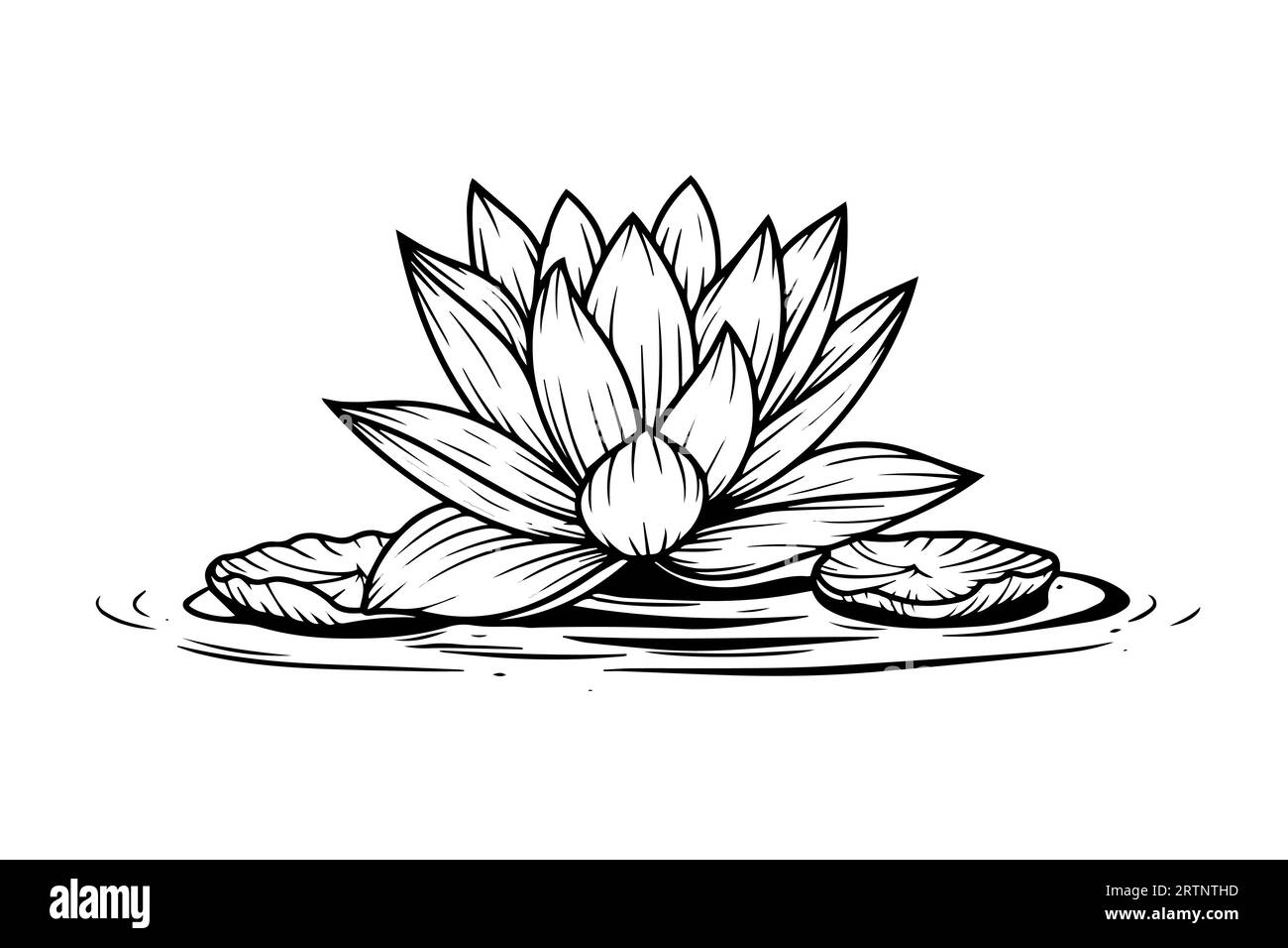 Eine Lotoslilie Wasserblume in einer Vintage Holzschnitt Gravur Stil Vektor Illustration. Stock Vektor